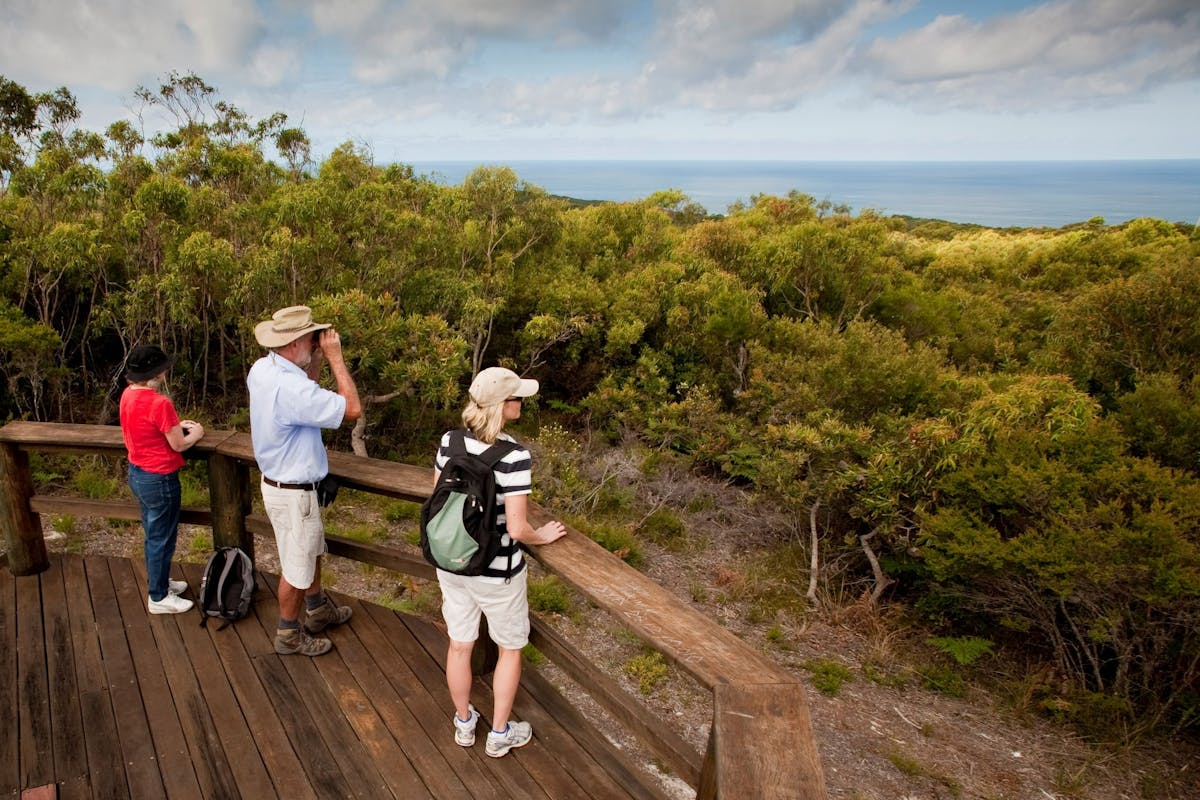 Three people at a wooden lookout.