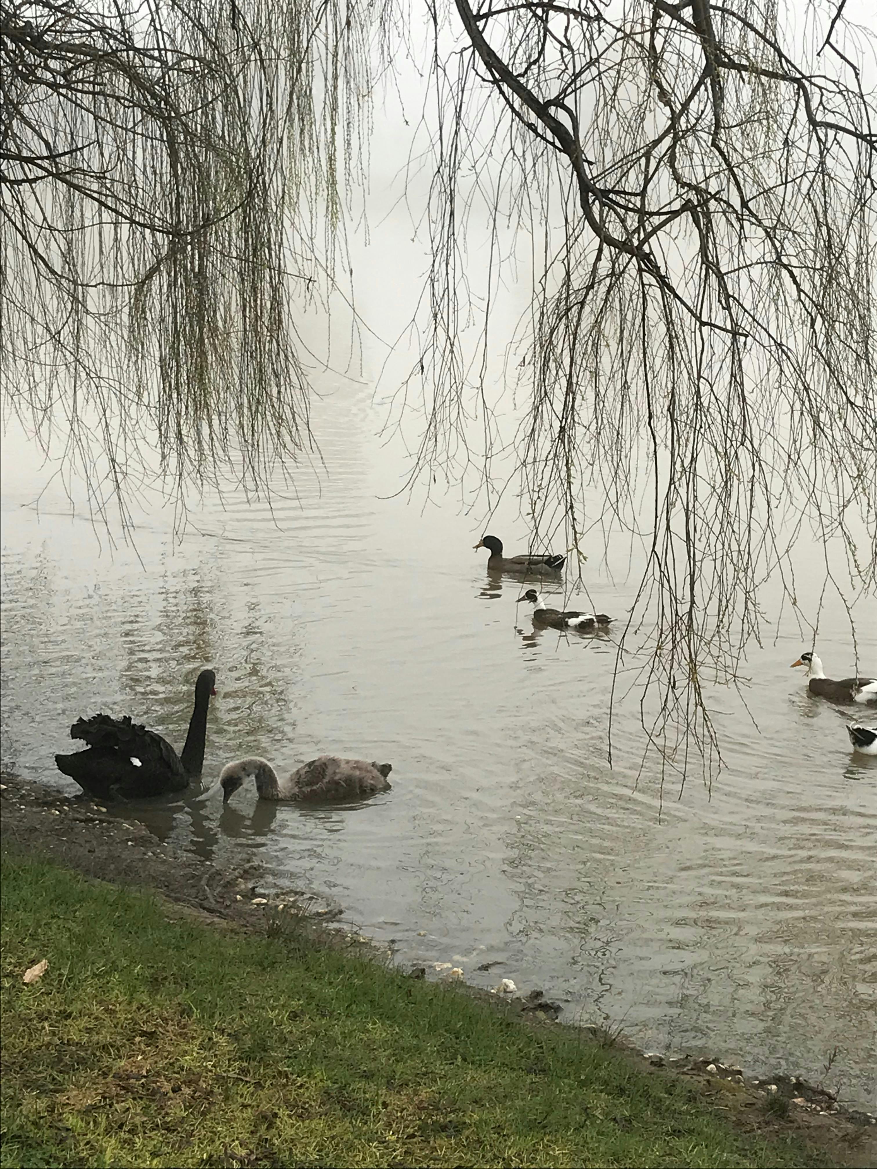 Words in Winter Central Goldfields: Events to Inspire Festival