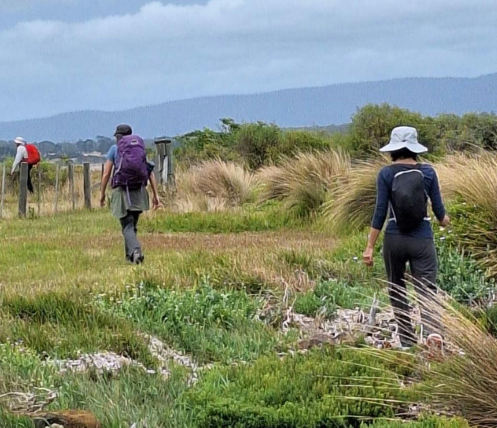 Three women walking through grassy, coastal track