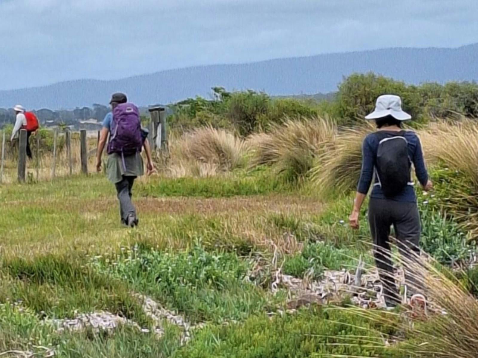Three women walking through grassy, coastal track