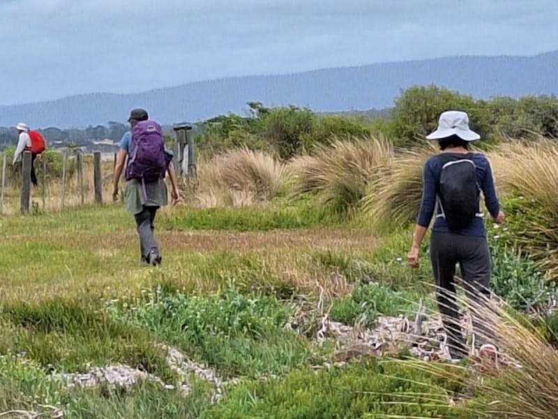 Three women walking through grassy, coastal track