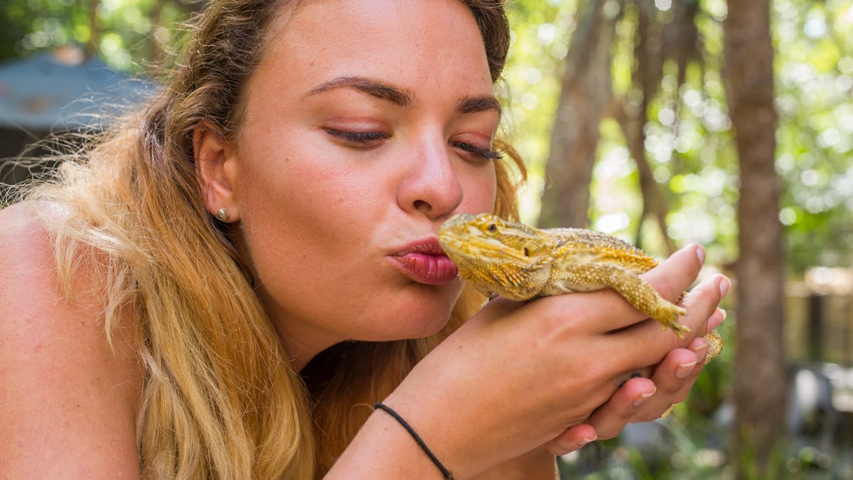 Meet and Greet with Aussie Wildlife