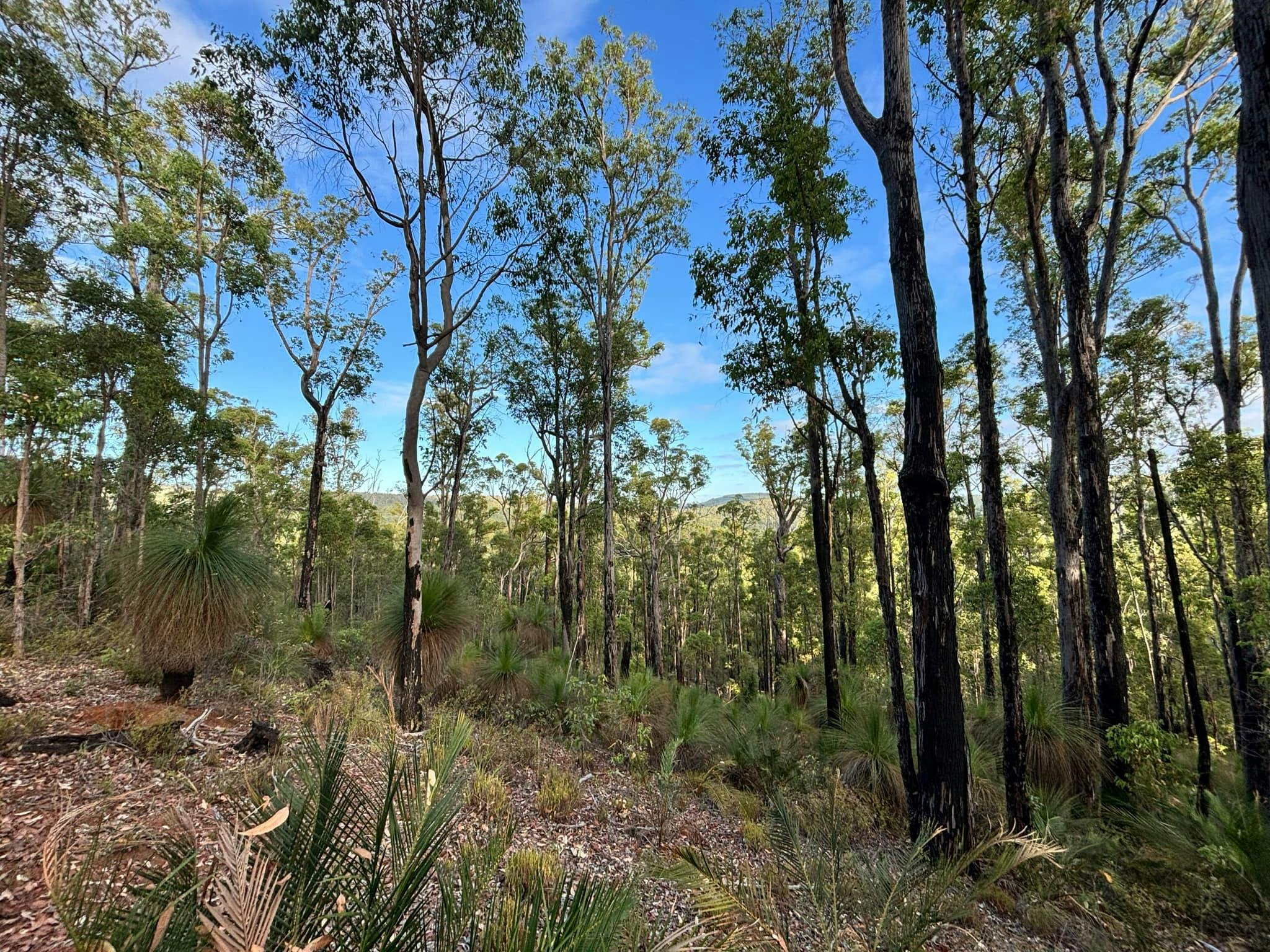 Island Pool Walk Trail, Lane Poole Reserve