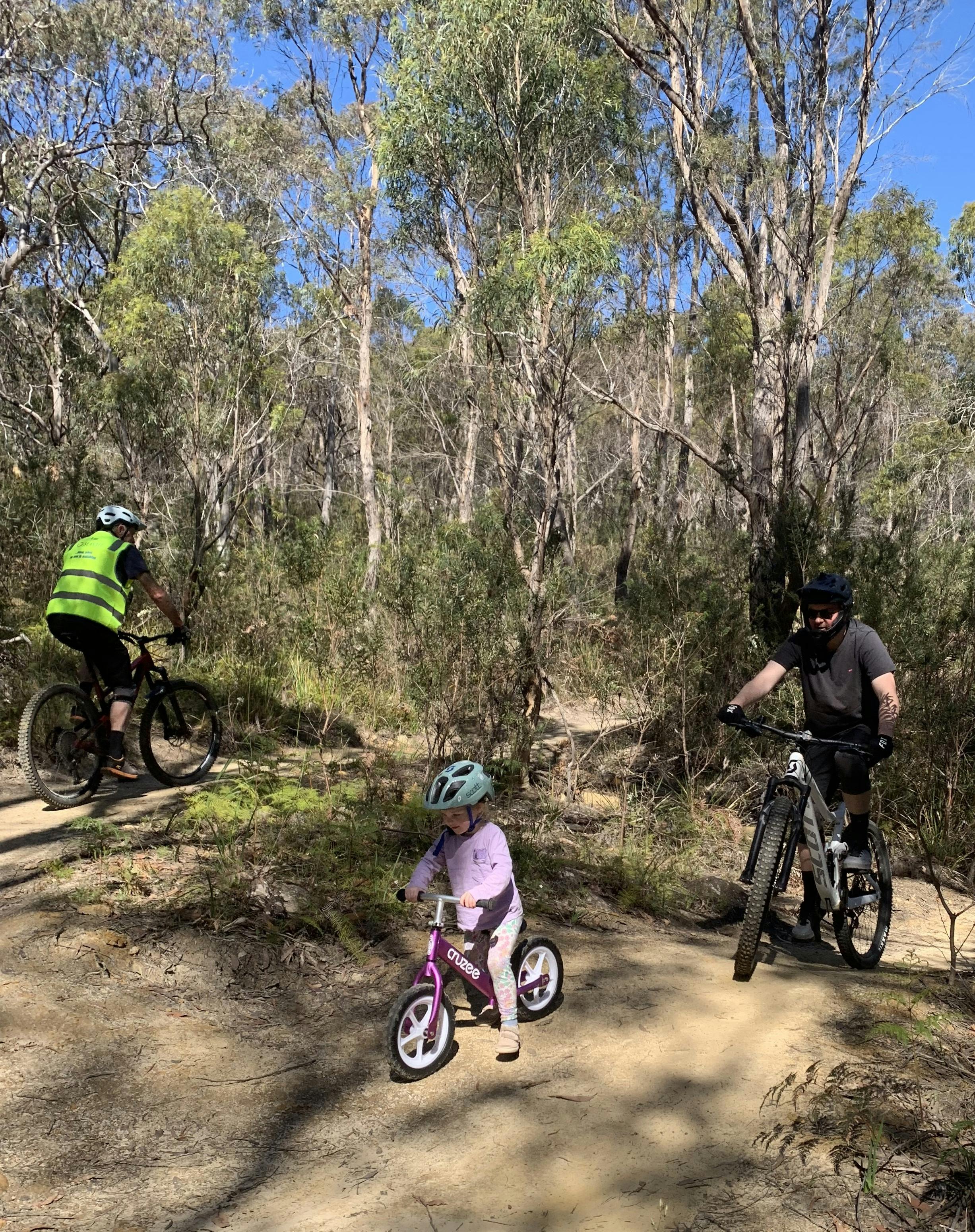 A toddler, child and an adult are riding mountain bikes on a bush trail.