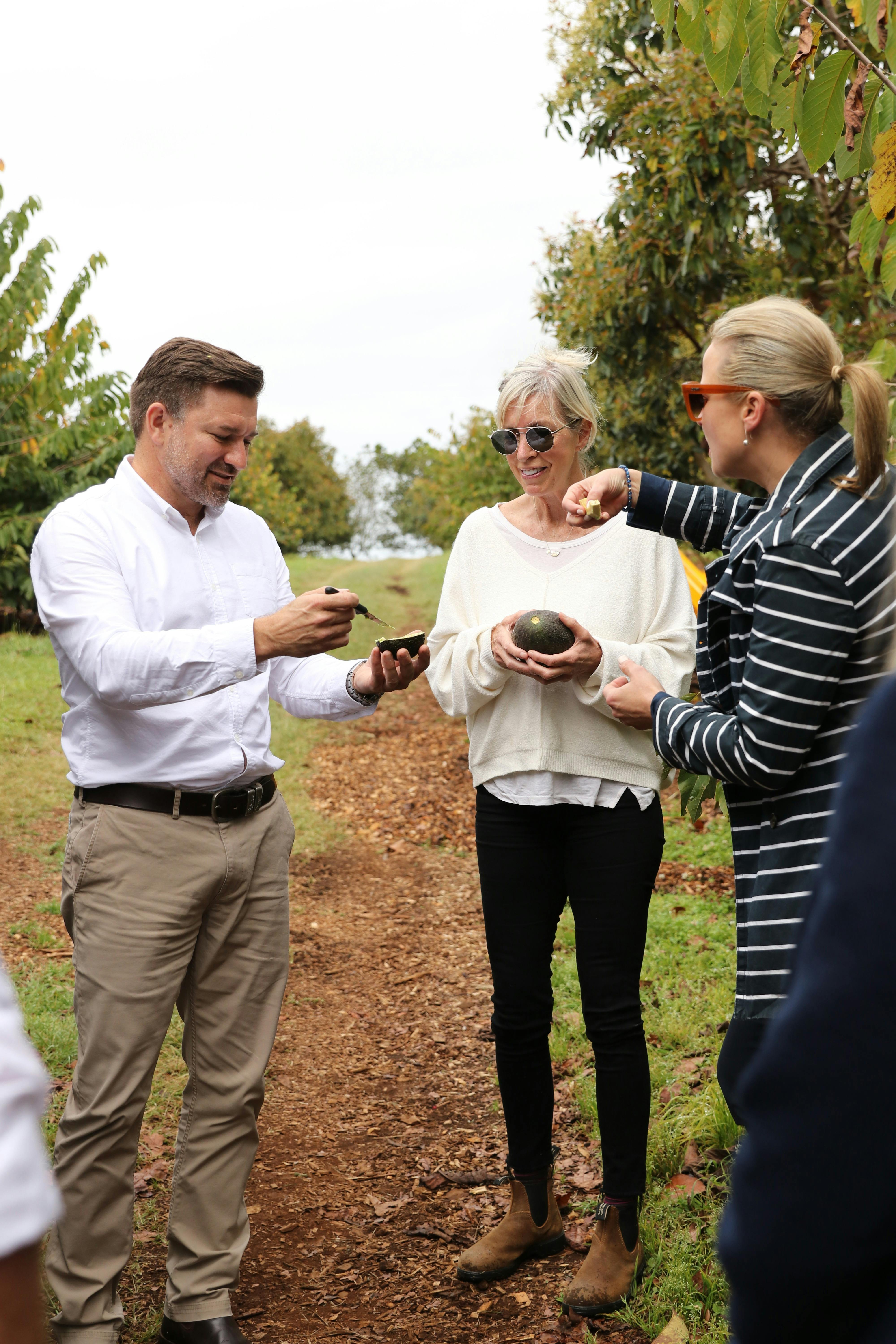 農場で栽培されている 500 種類のトロピカル フルーツについて学ぶ