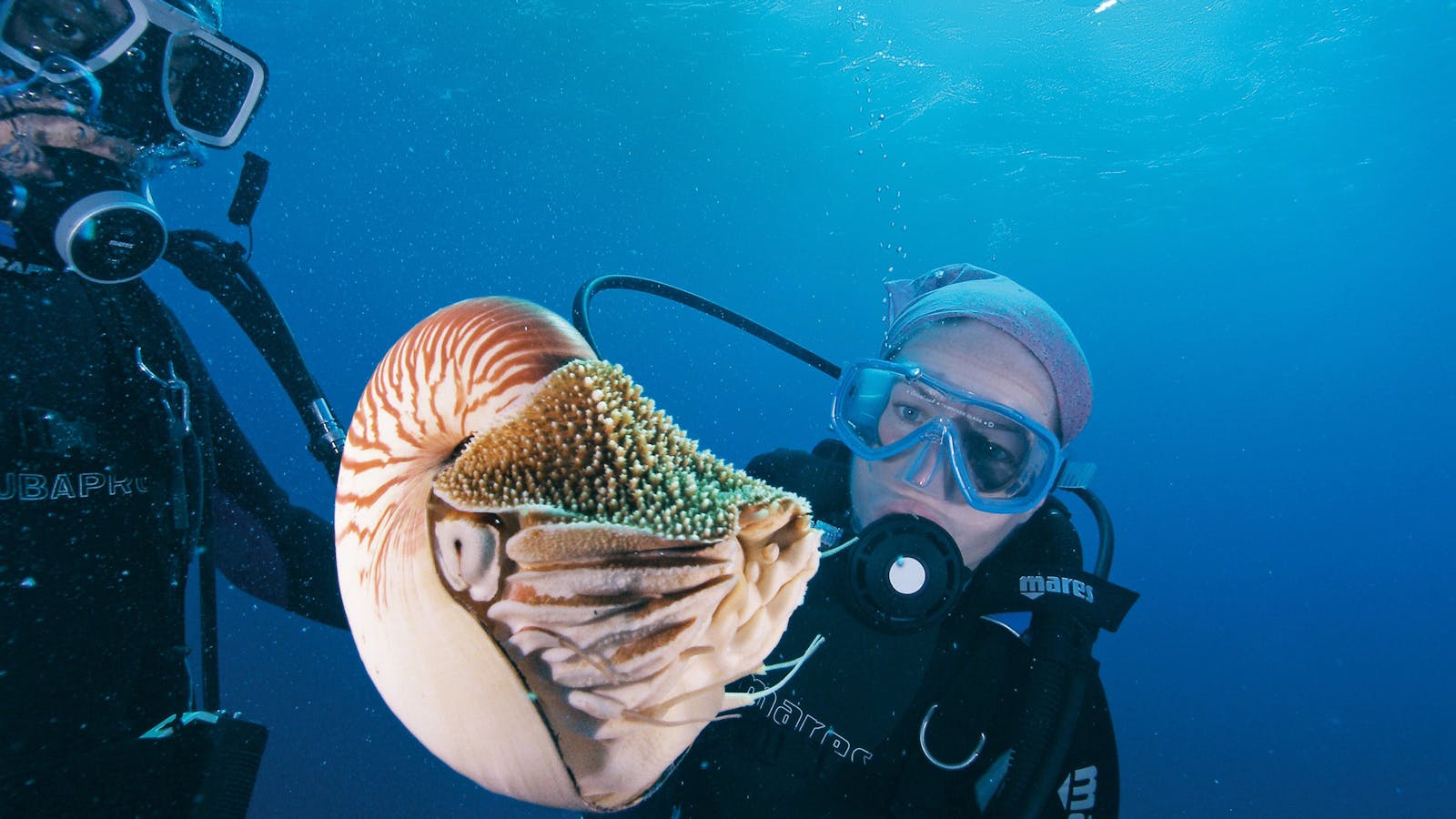 Agincourt Reef