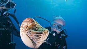 Agincourt Reef