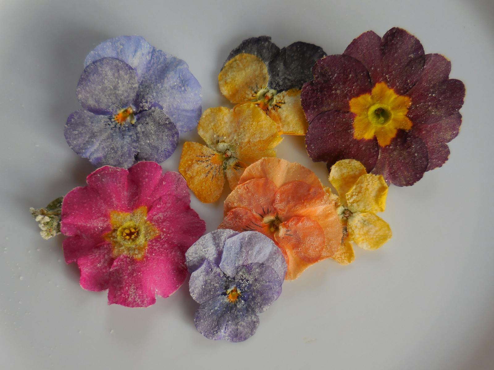 Crystallised edible polyanthus and pansies, colours ranging from lilac to red