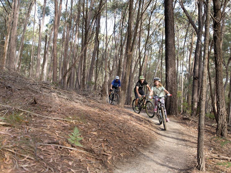 Family enjoying a day of riding on the 20km Bundadung Trail Network in Tathra