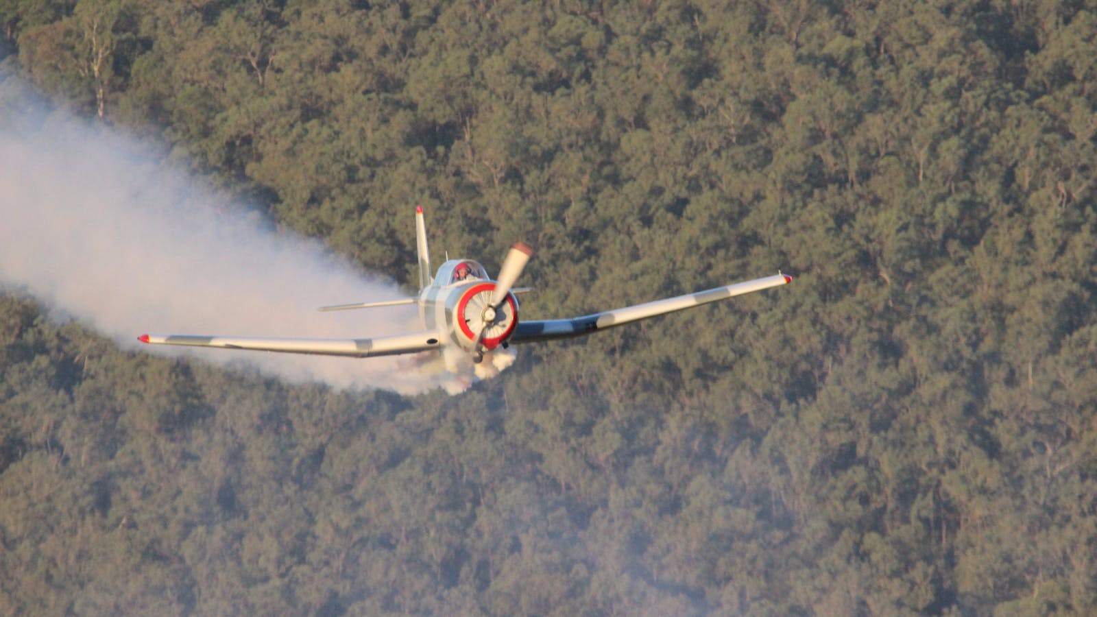 Warbird Aerial Adventures
