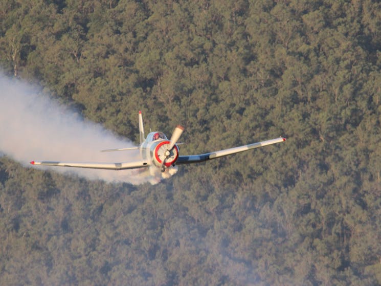 Wagga Warbirds