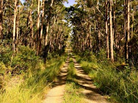 Mining Road Fire Trail, Old Gibber Road Rire Trail
