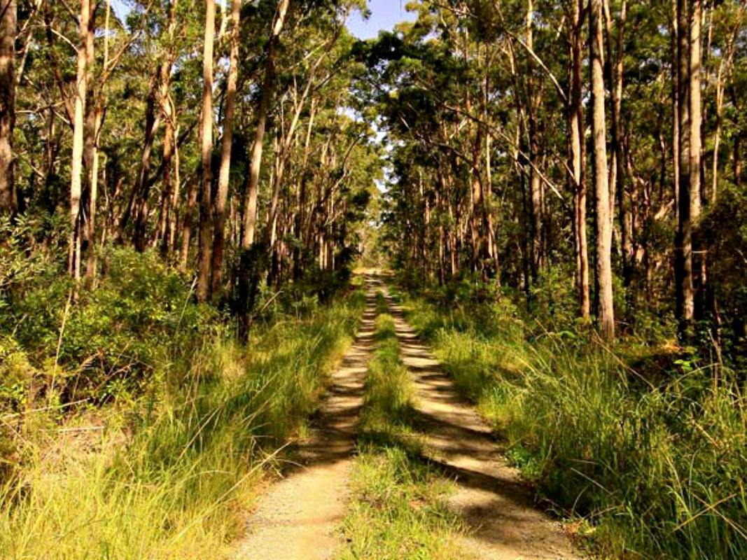 Mining Road Fire Trail, Old Gibber Road Rire Trail