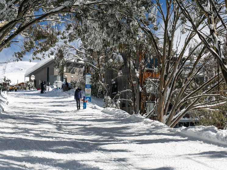 Schuss Street, Falls Creek