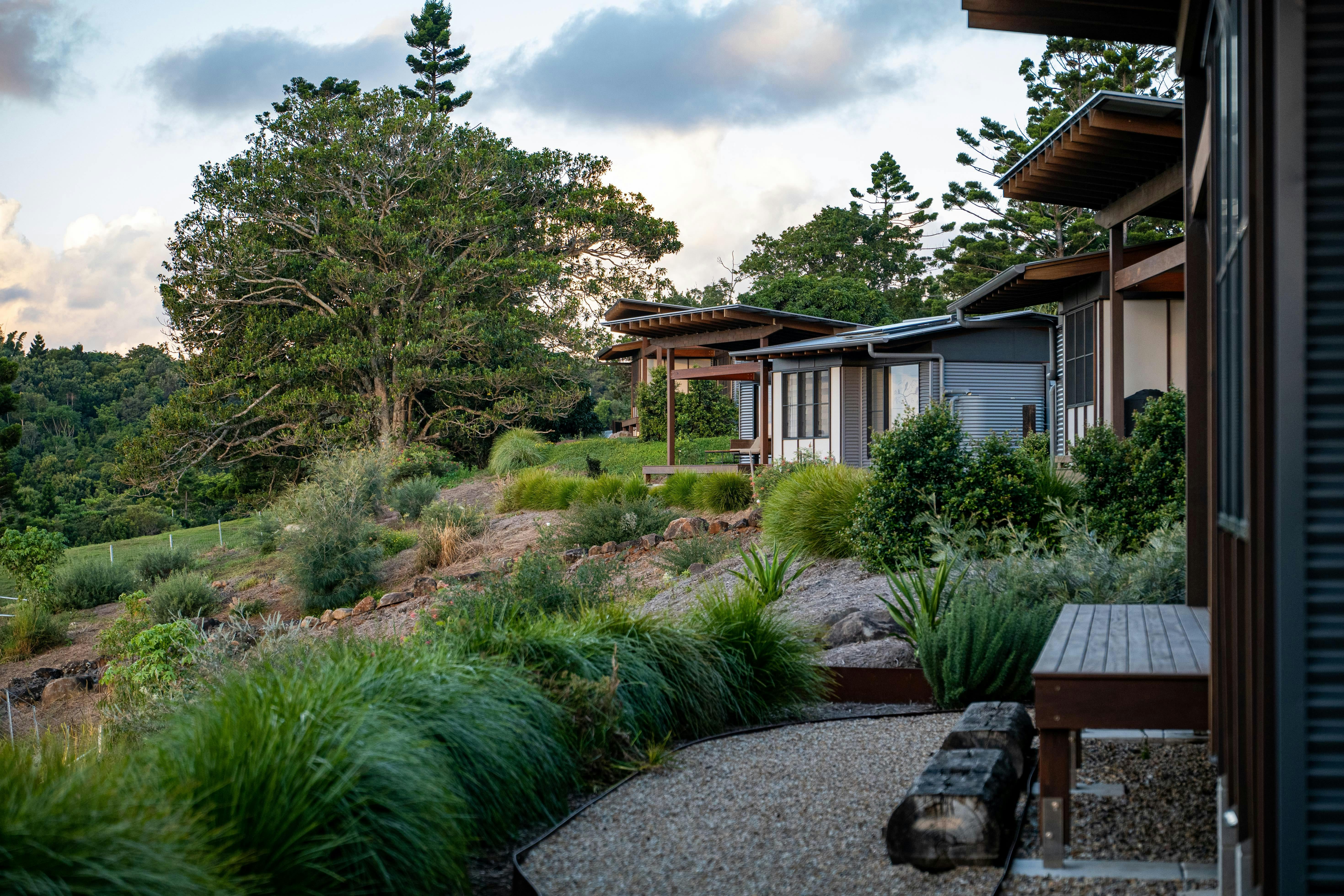 Exterior view of the Carinya Byron Bay villa, surrounded by native trees.