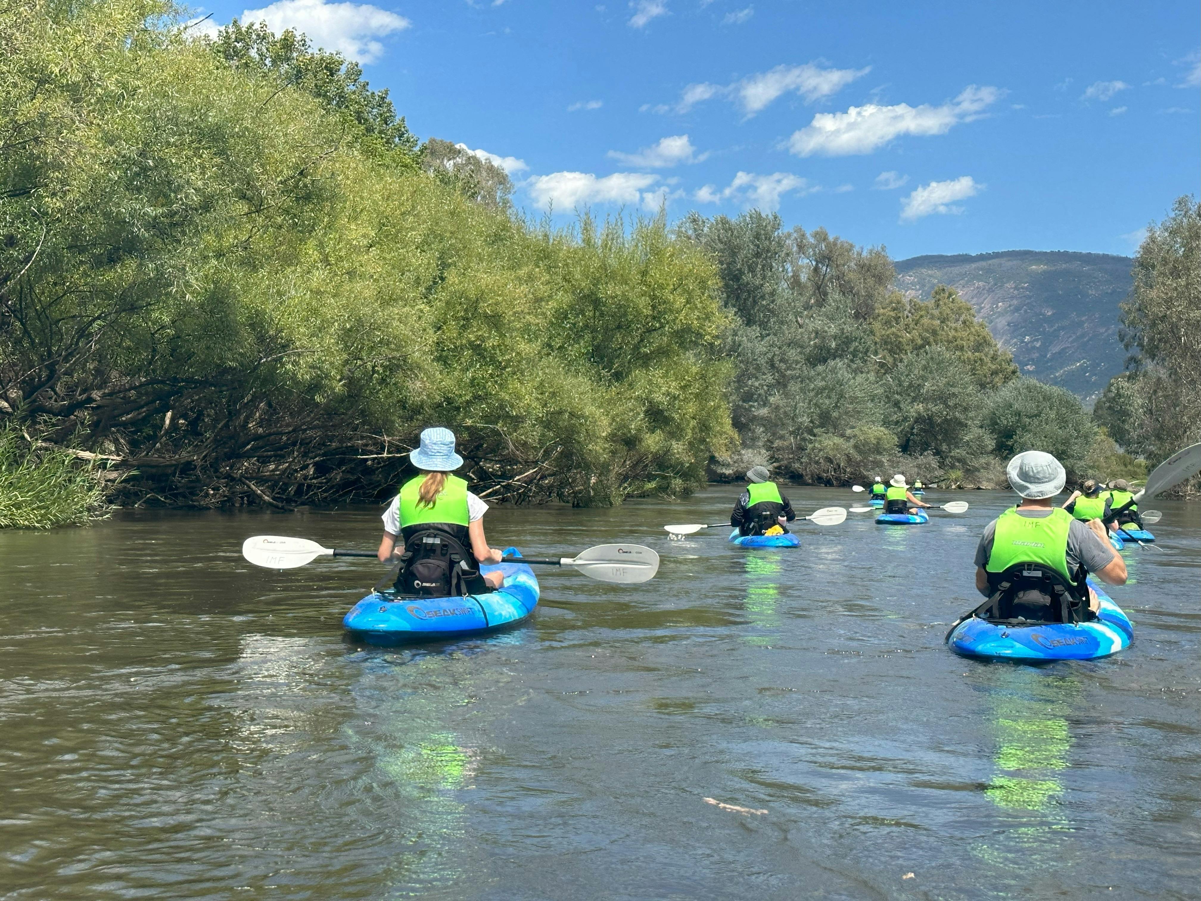 Family Adventure - Upper Murray River - Views of Pine Mountain