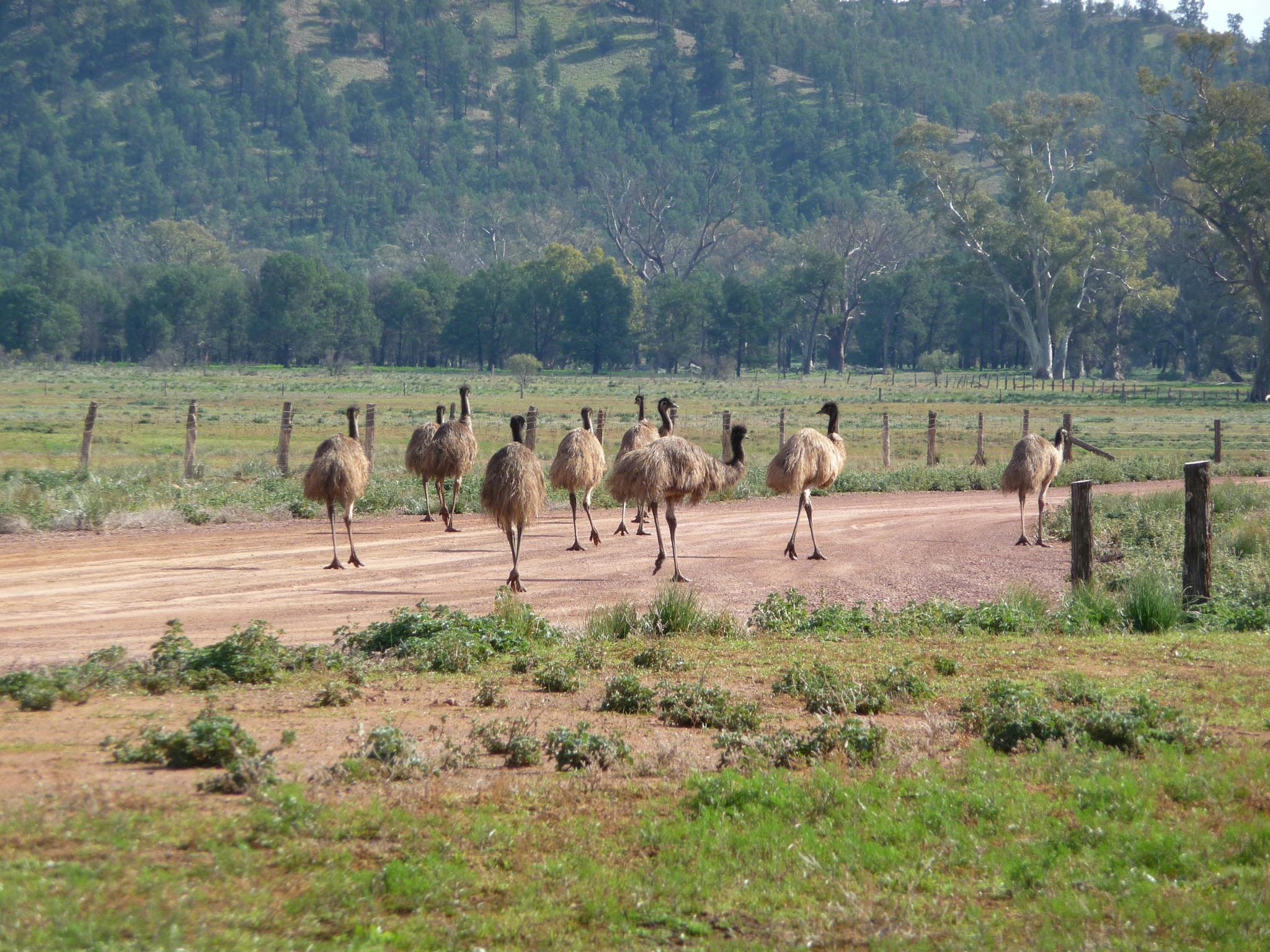 Swagabout Tours Slider Image 6