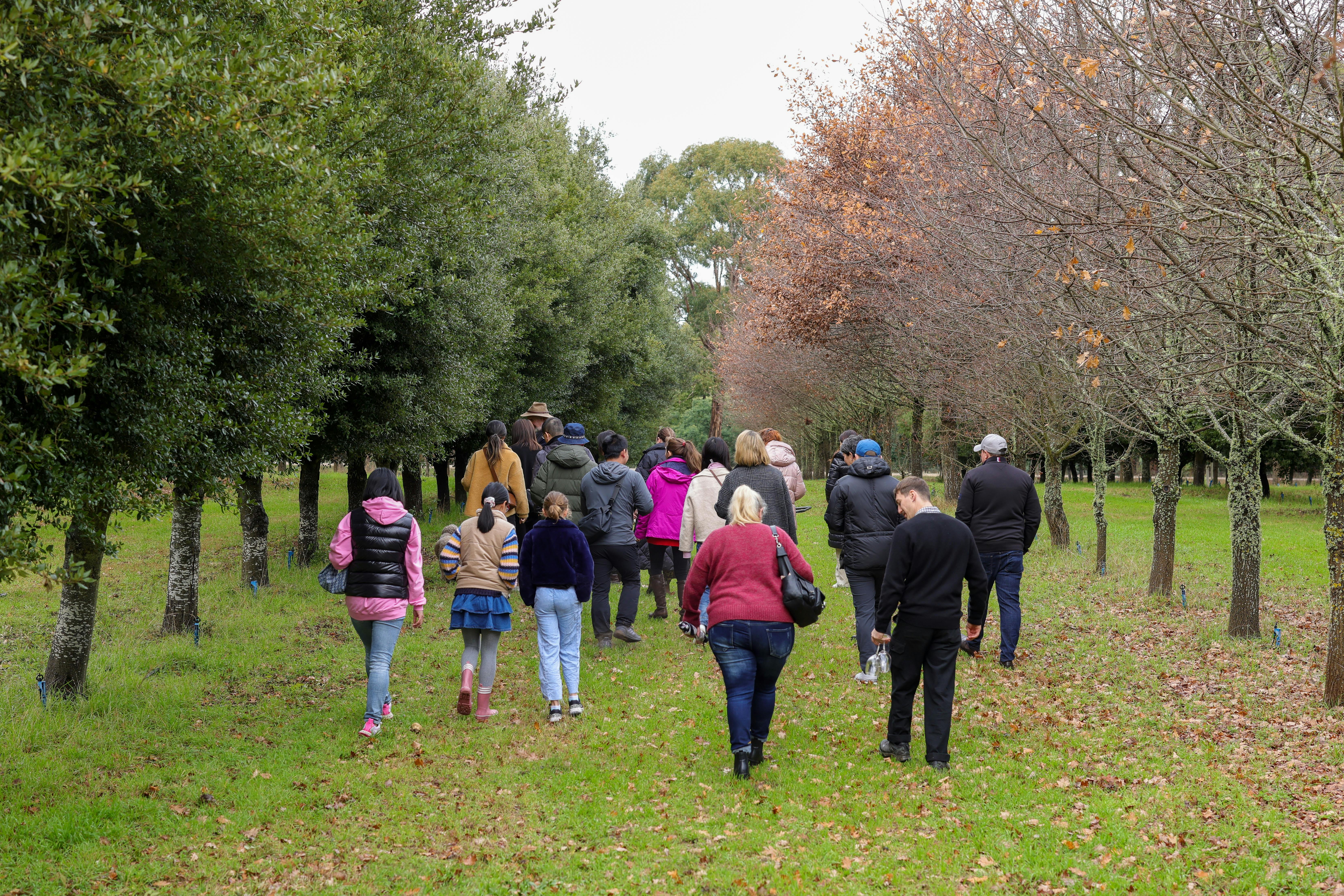 Summer Truffle Hunts at Black Cat Truffles