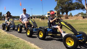 Single Buggies