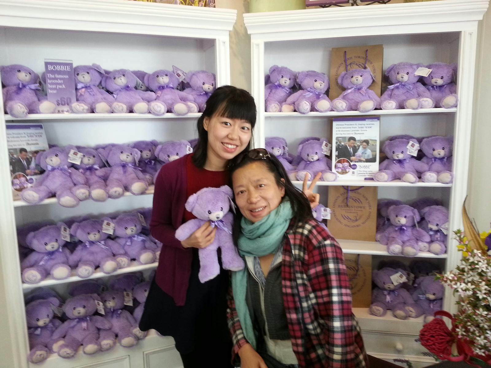 Bridestowe Lavender Farm
