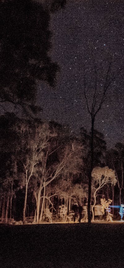 A Twilight Tour in Mulligans Flat Woodland Sanctuary looking at endangered wildlife