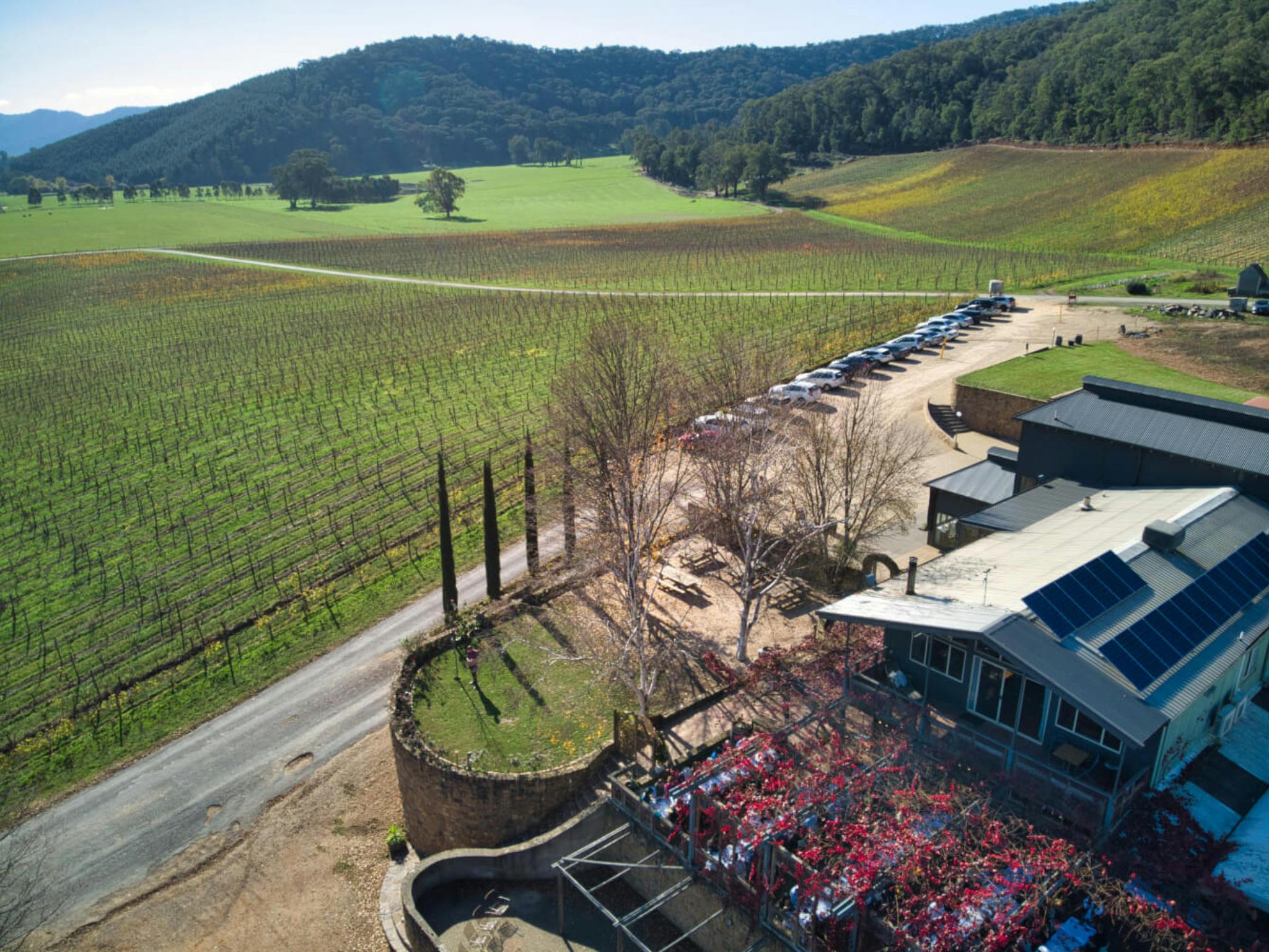 Winery and cellar door overlooking the vineyard