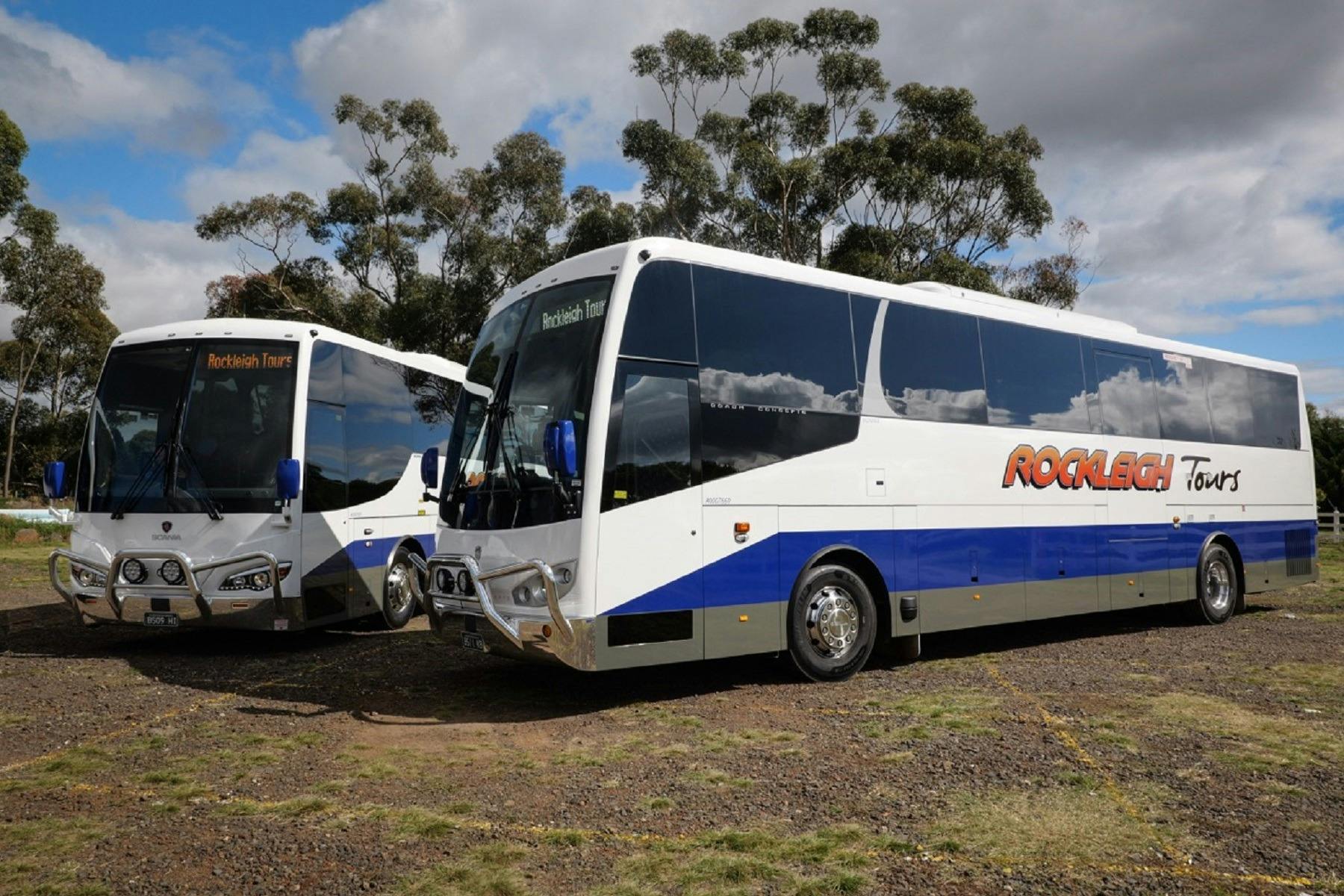 blue and white buses
