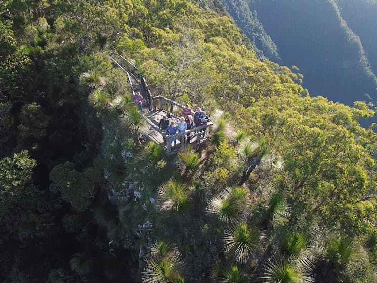 Far Out Tours on tour at the Border Ranges, Pinnacle Lookout. Experience Ancient Gondwana Rainforest
