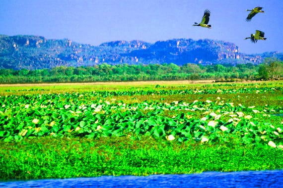 ホークドリーミングウィルダネスロッジ