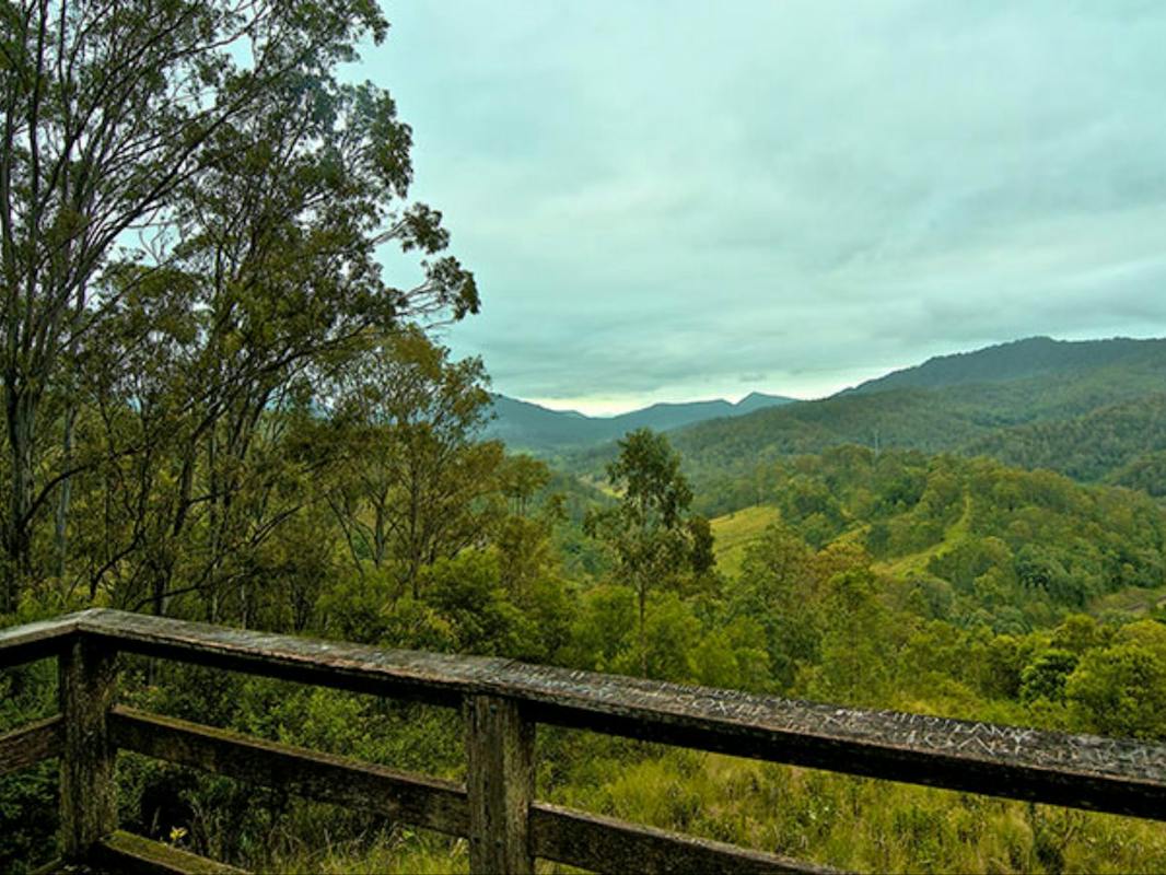 Border loop lookout