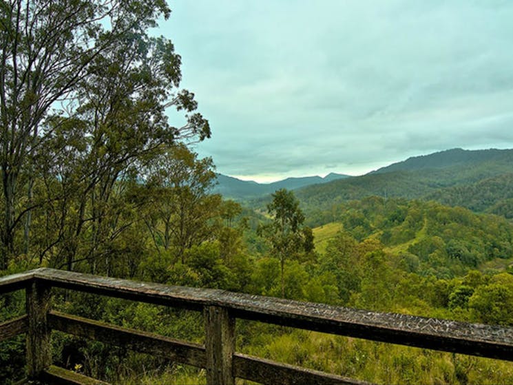 Border loop lookout