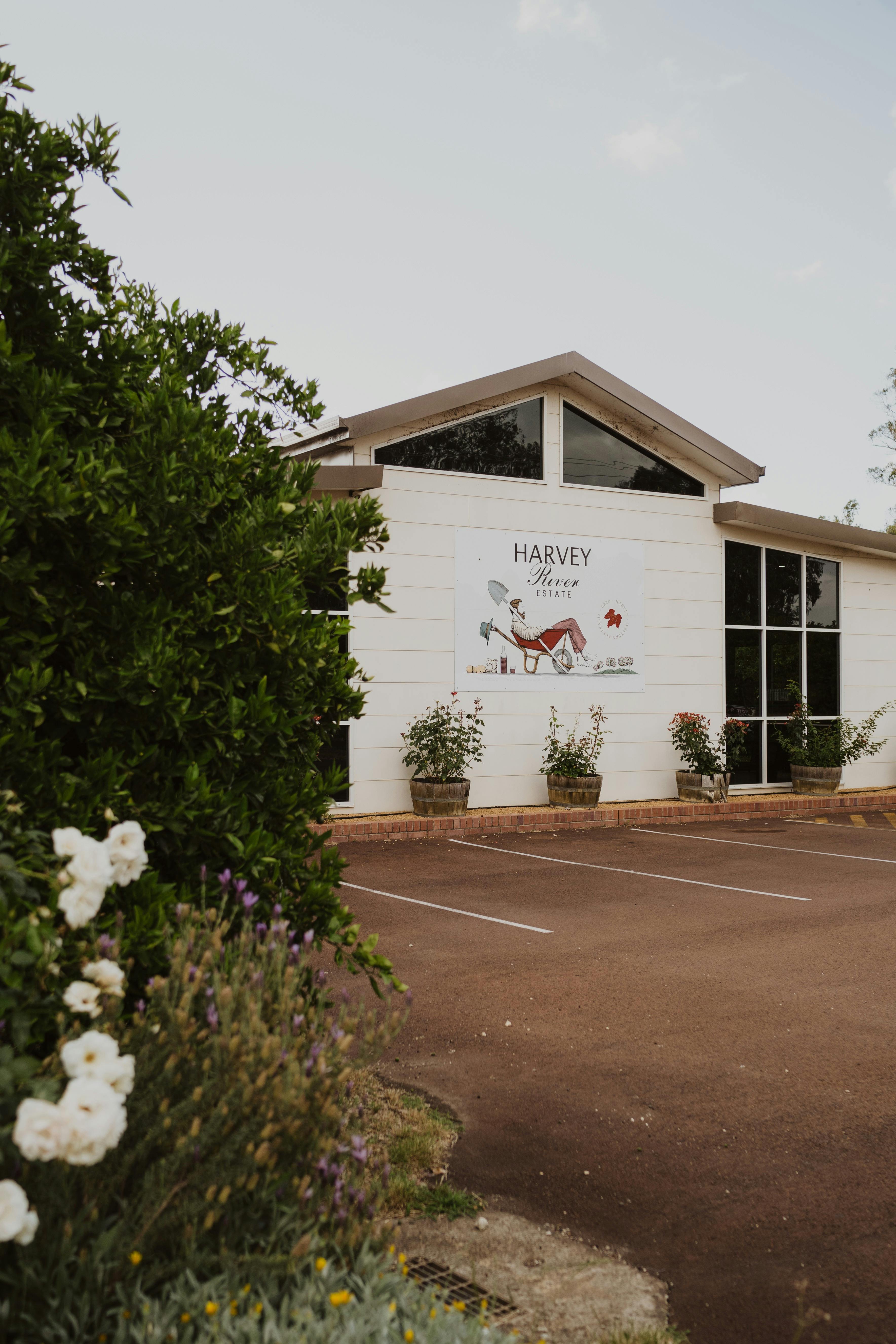 Cellar Door
