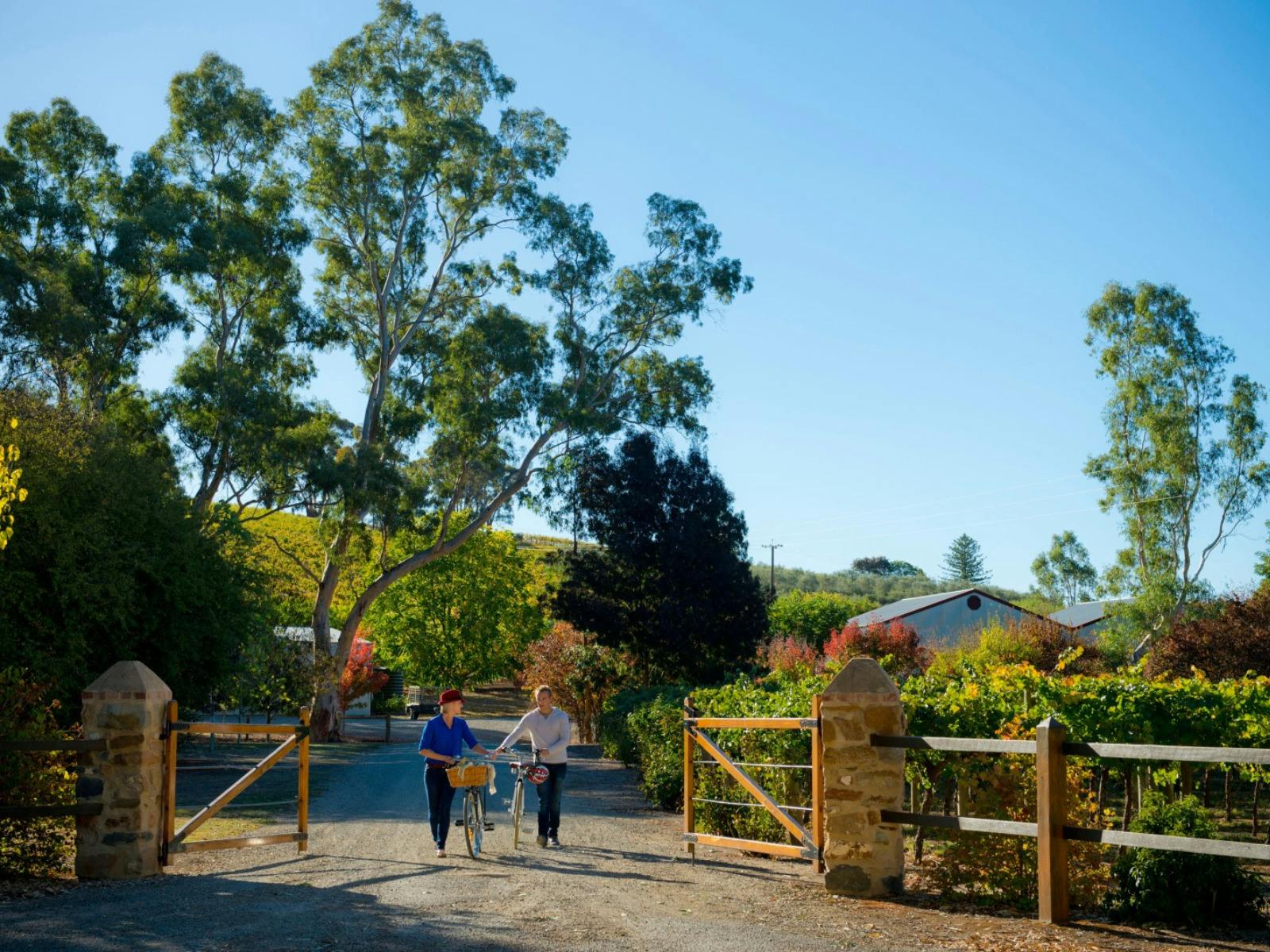 Explore The Clare Valley