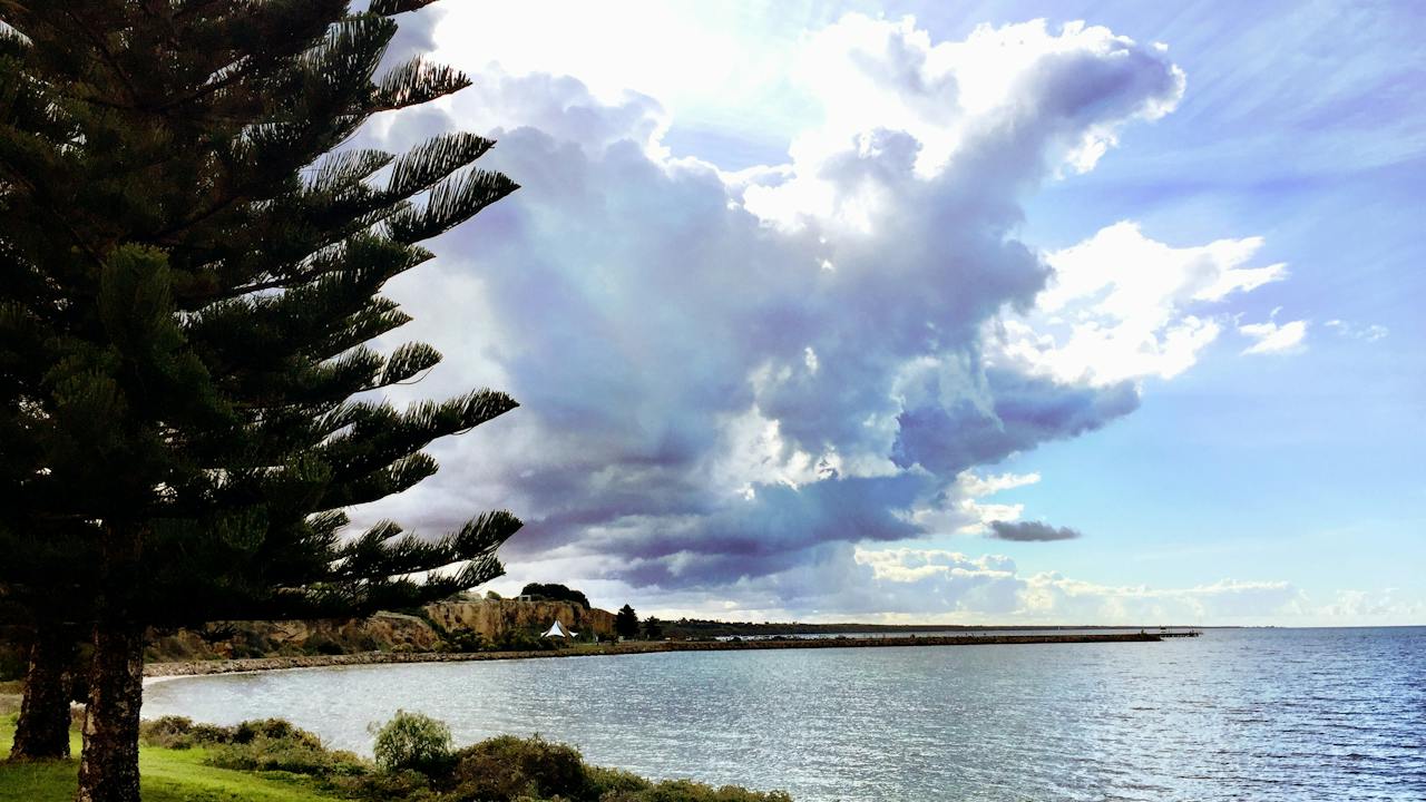 Oyster Bay - Stansbury