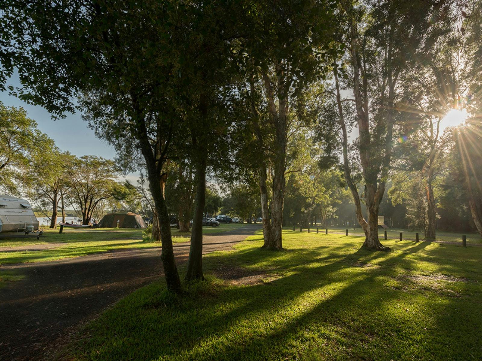 Myall River Camp bushland campsite