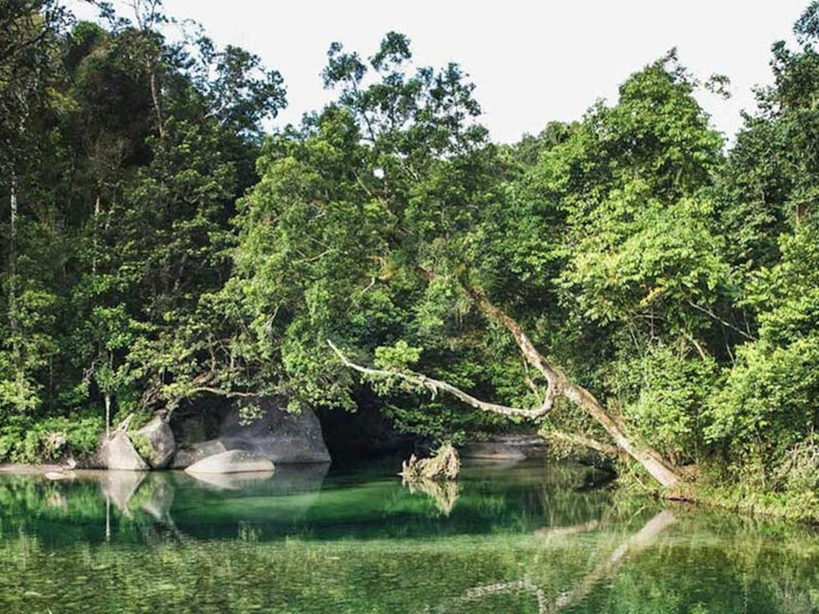 TABLELANDS WATERFALLS, RAINFOREST & PARONELLA PARK