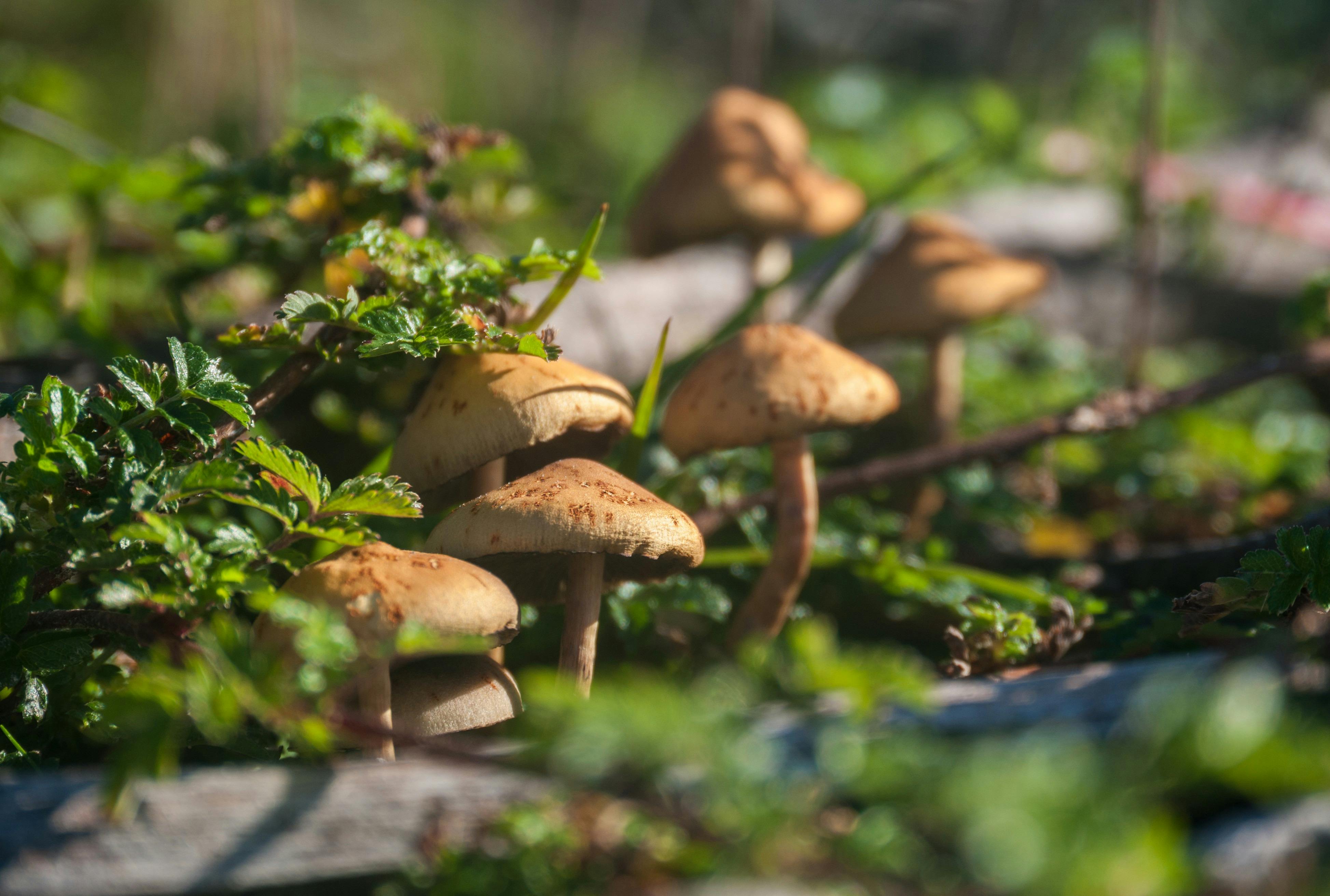 Arthur River Camping