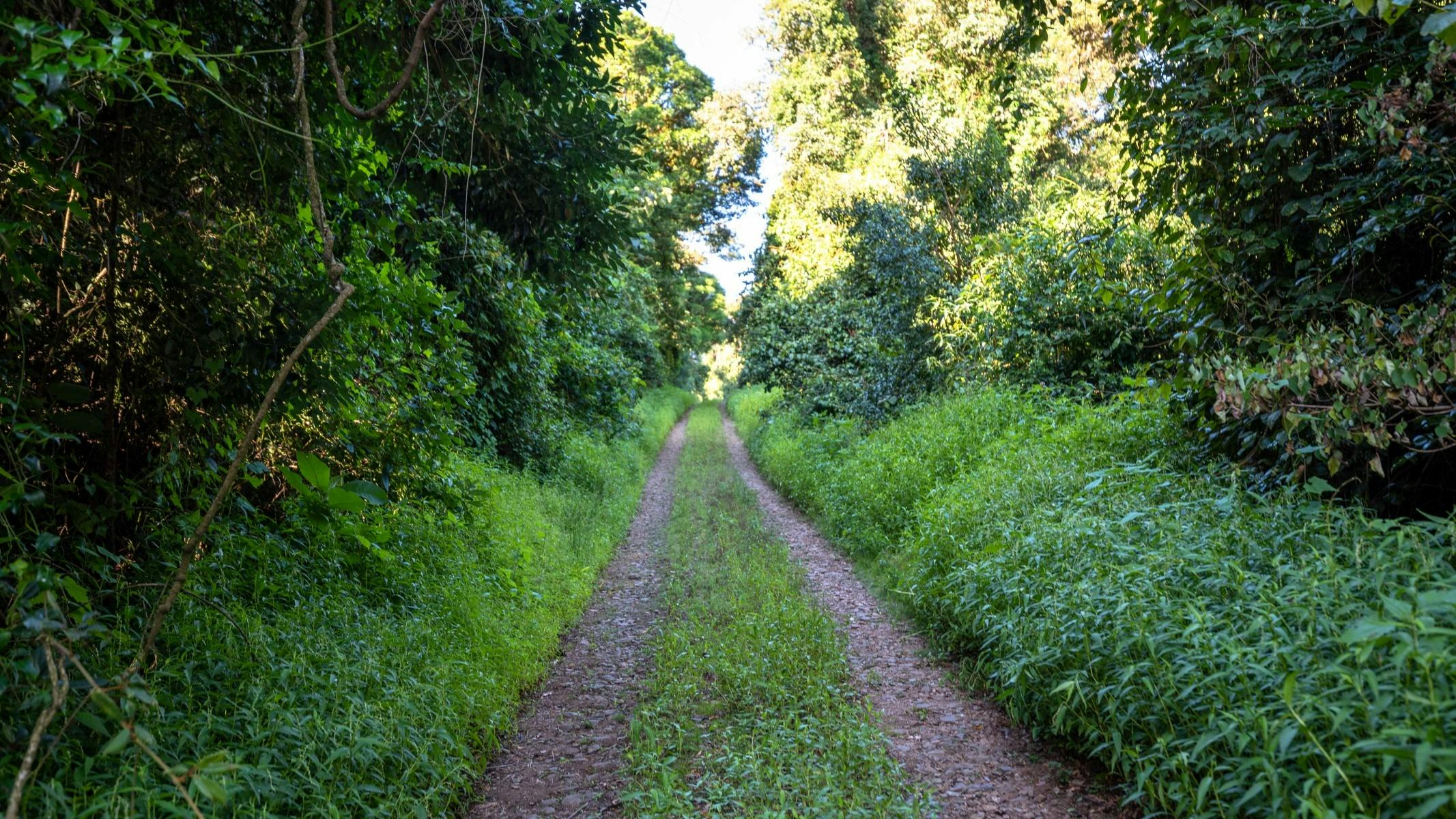 Untamed Border Run