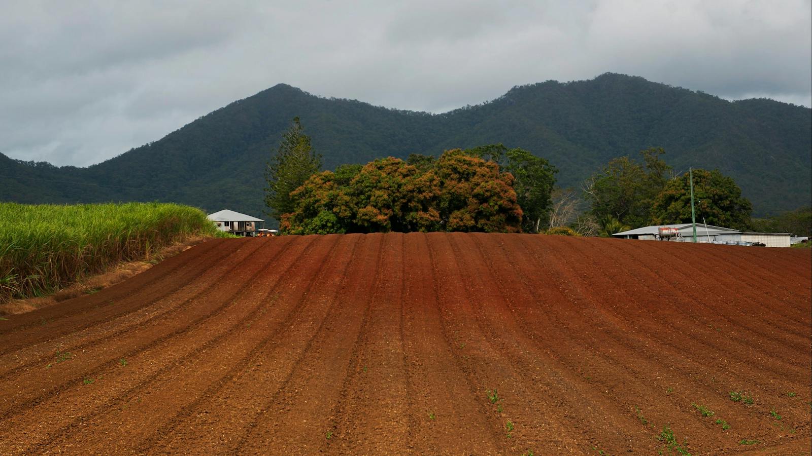 48 hours in Cape Hillsborough and The Hibiscus Coast