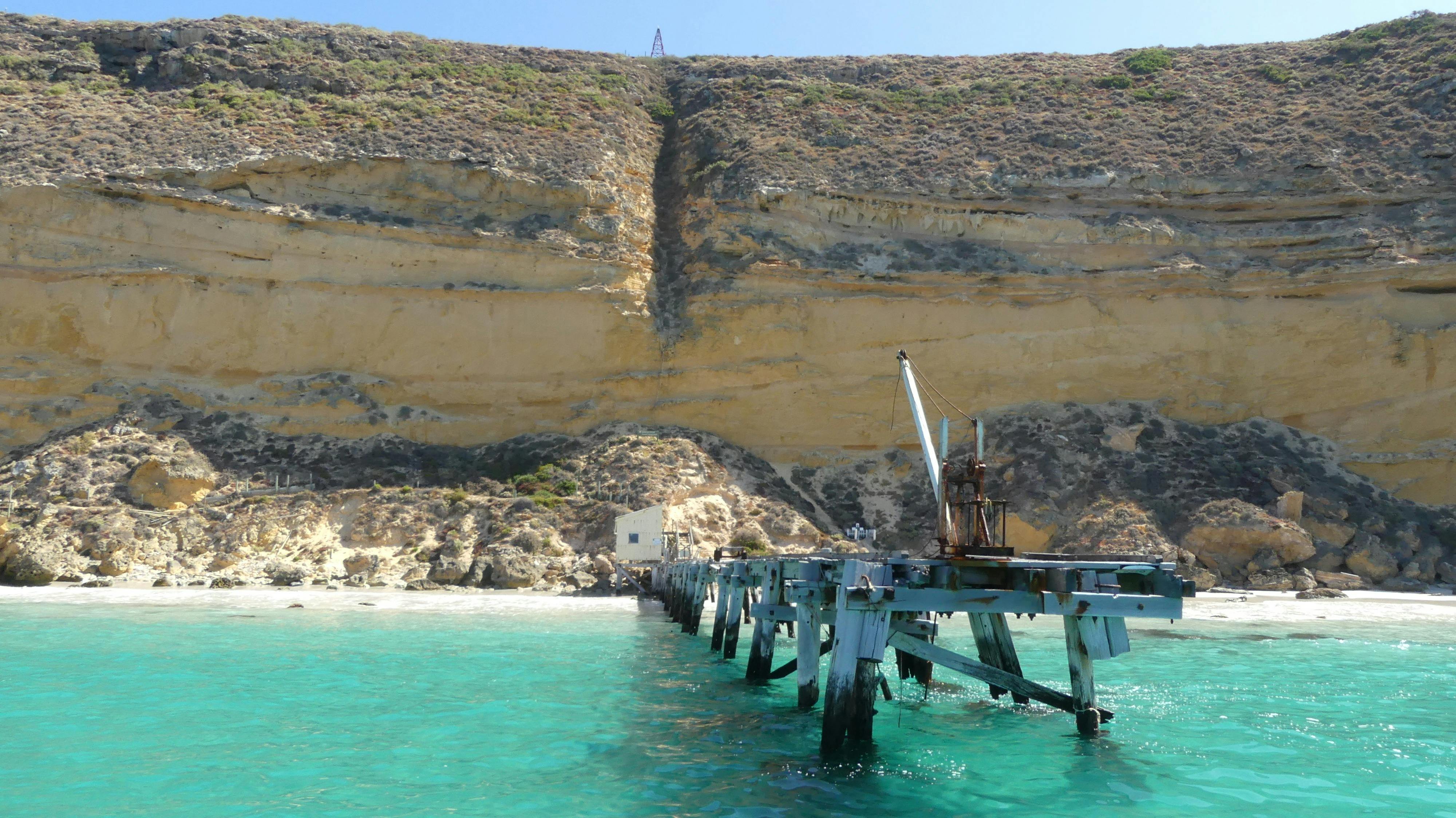 Althorpe Island history and Australian Sea Lions