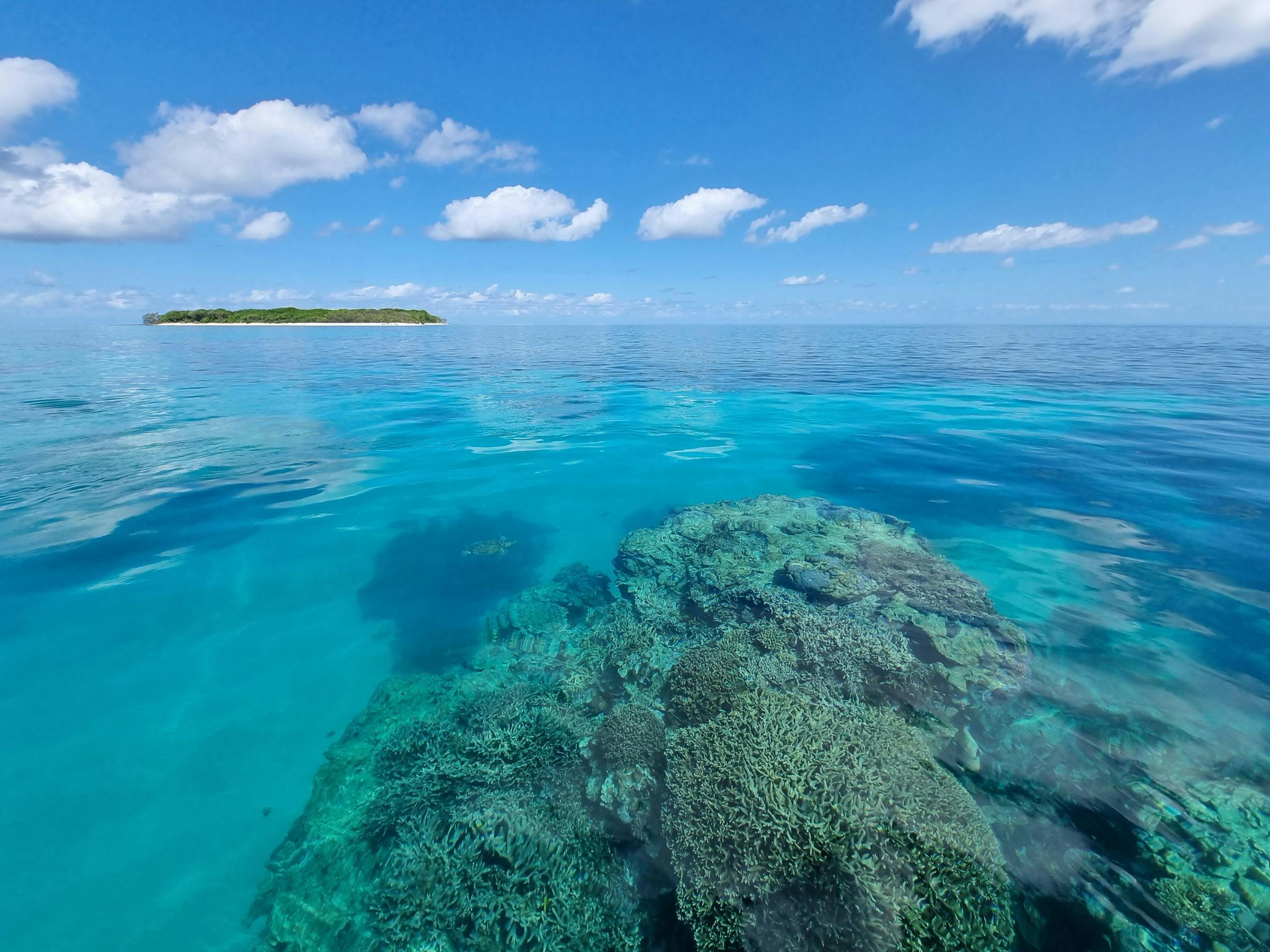 Calm turquoise water with coral reef and island