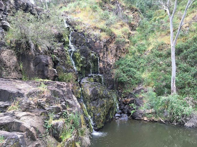2 day Women’s Yurrebilla Trail Micro Adventure