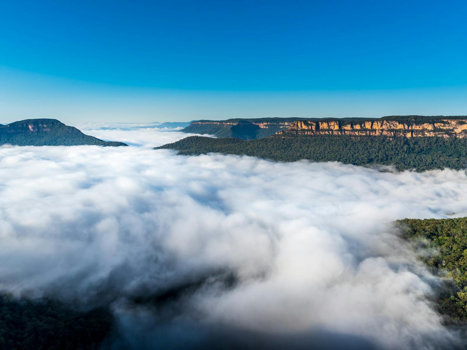 Low clouds over Jamieson Valley
