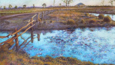 Painting of a pond with waterlilies