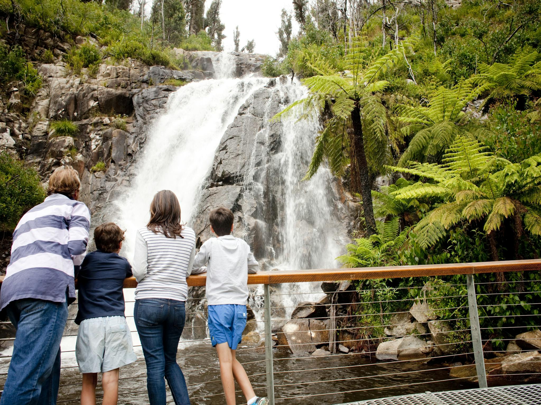 Steavenson Falls