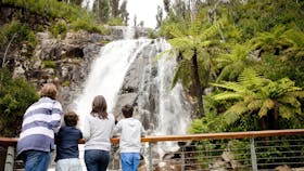 Steavenson Falls