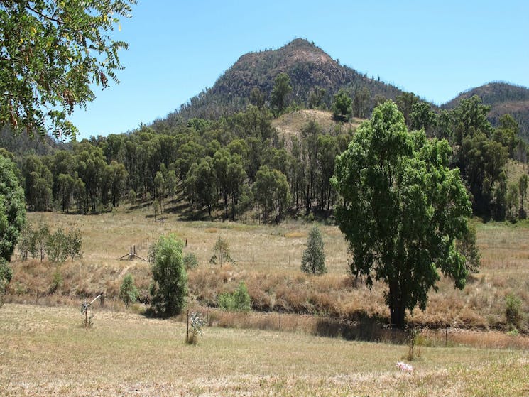 Mirrabook Cottage