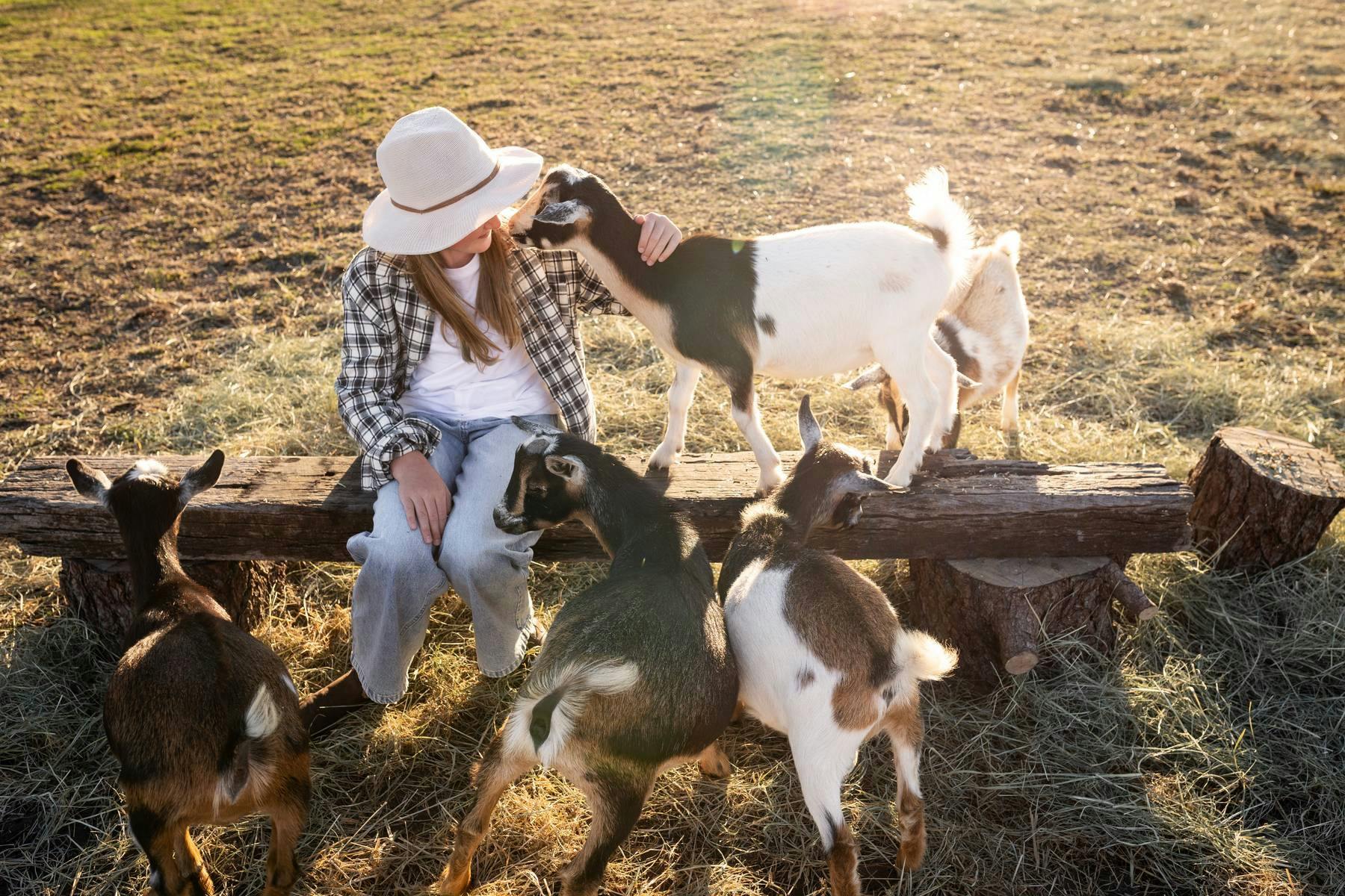 Our friendly goats love visitors
