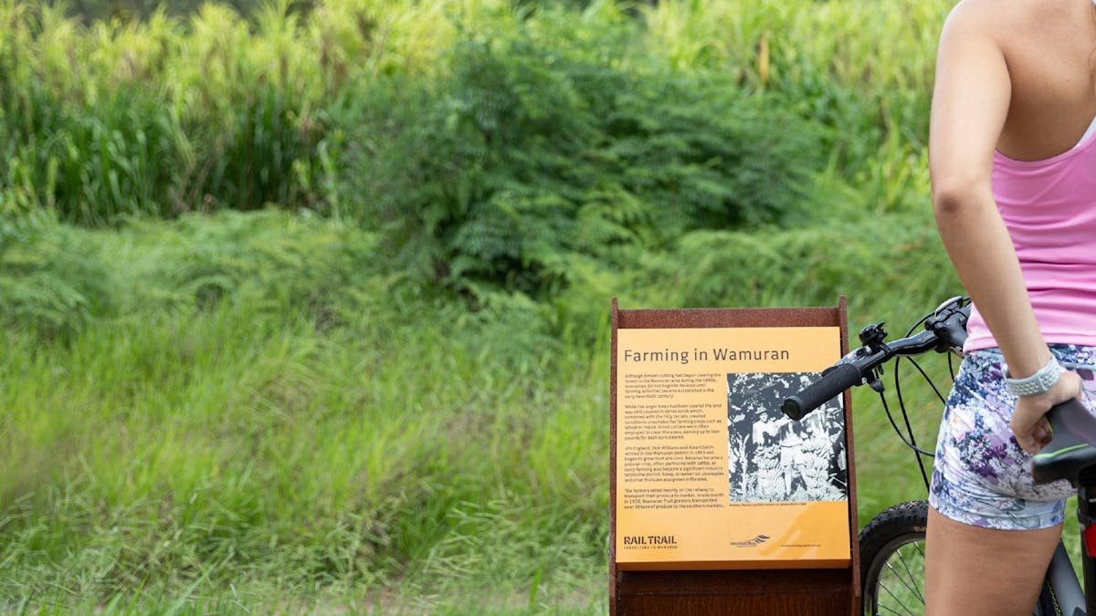 An information sign on the Caboolture to Wamuran Rail Trail