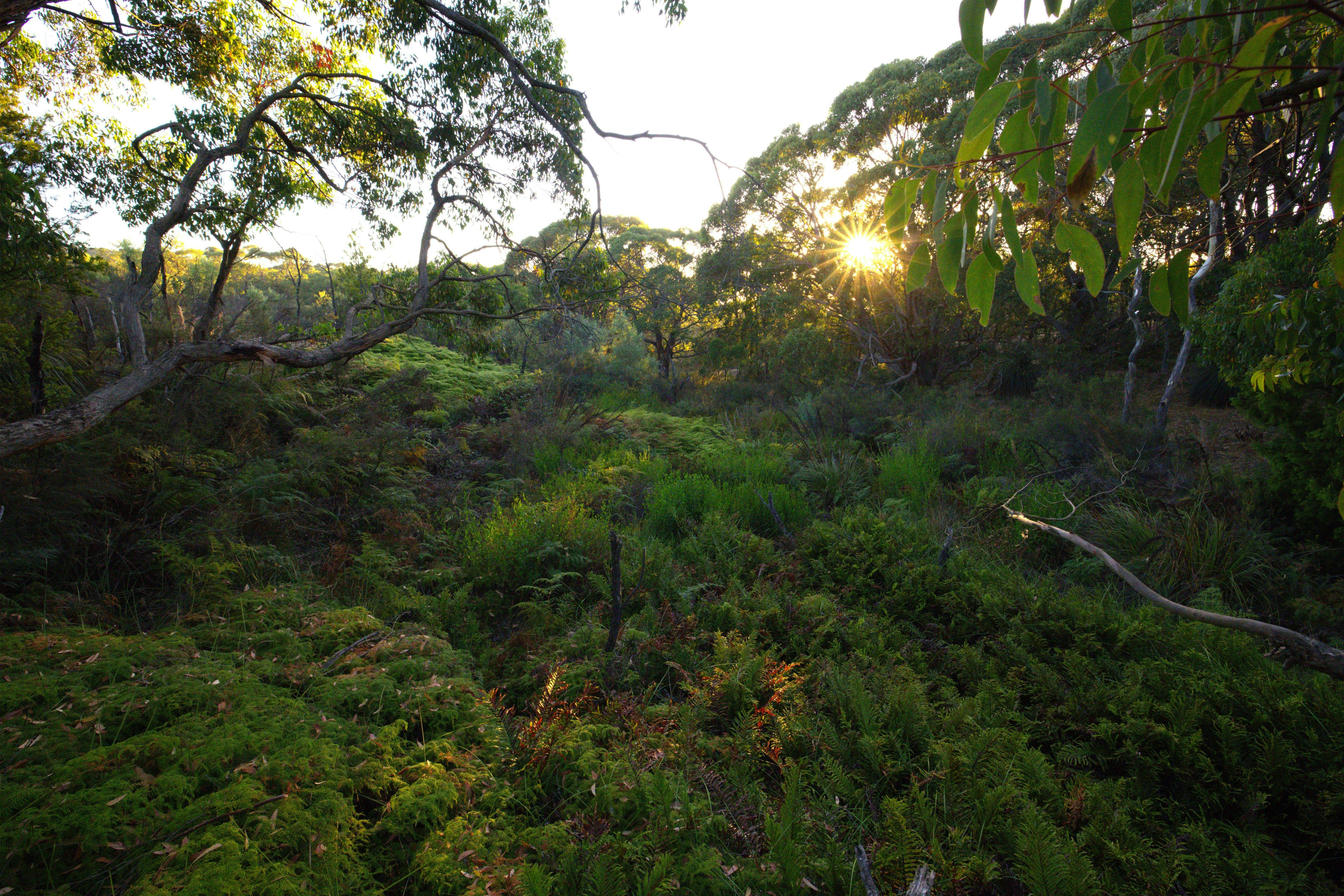 Hindmarsh Valley National Park